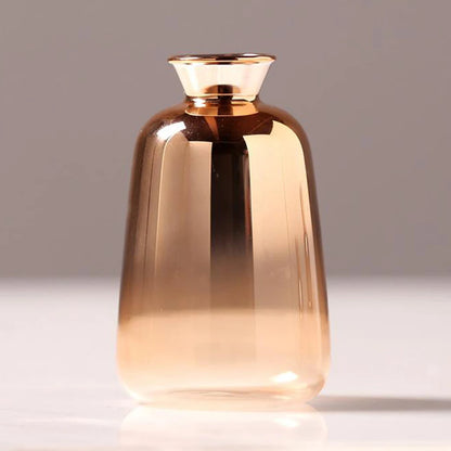 Transparent Glass Vase with Dried Pampas Grass – Light, form, and quiet simplicity