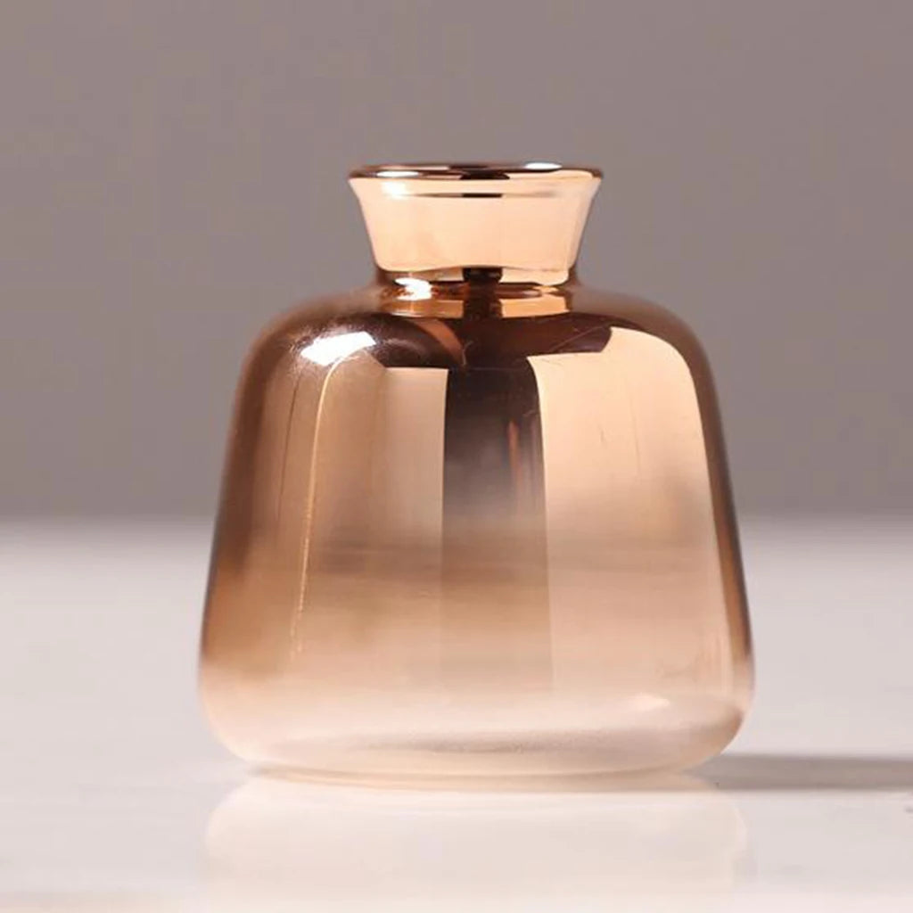 Transparent Glass Vase with Dried Pampas Grass – Light, form, and quiet simplicity