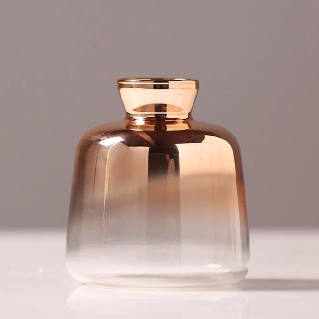 Transparent Glass Vase with Dried Pampas Grass – Light, form, and quiet simplicity