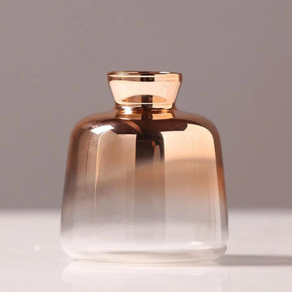 Transparent Glass Vase with Dried Pampas Grass – Light, form, and quiet simplicity