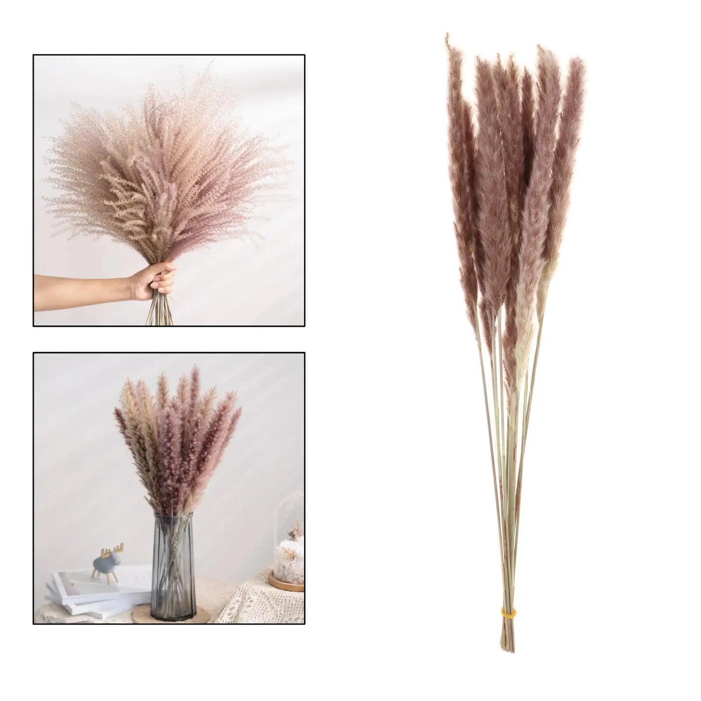 Transparent Glass Vase with Dried Pampas Grass – Light, form, and quiet simplicity