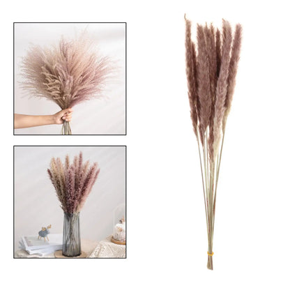 Transparent Glass Vase with Dried Pampas Grass – Light, form, and quiet simplicity