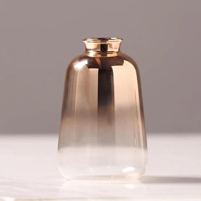 Transparent Glass Vase with Dried Pampas Grass – Light, form, and quiet simplicity