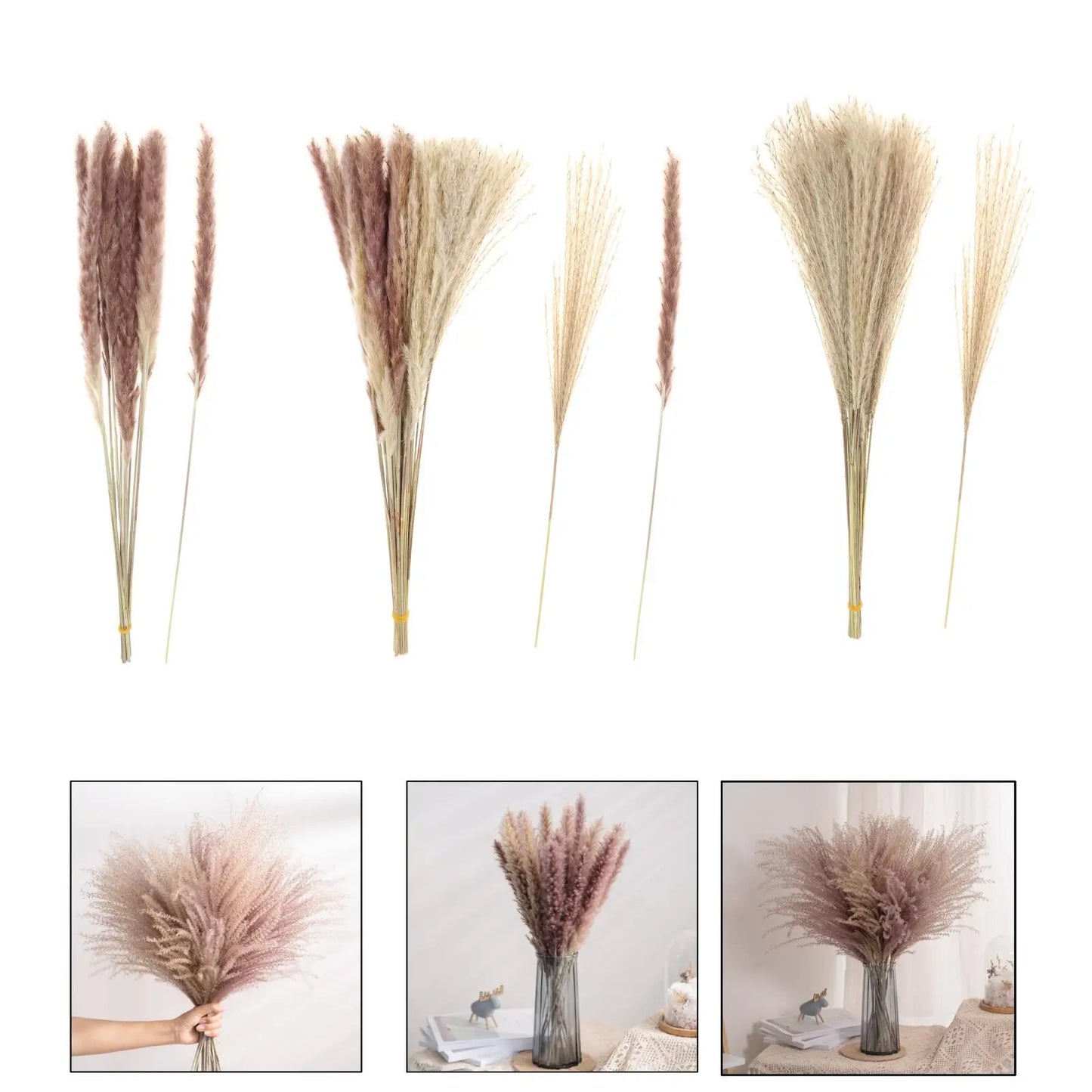 Transparent Glass Vase with Dried Pampas Grass – Light, form, and quiet simplicity