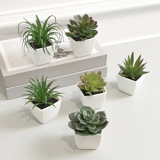 6PCS Mini Evergreen Artificial Succulent Potted Plants