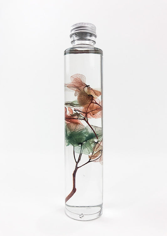 Hydrangea Preserved Bottle, Water Globe.