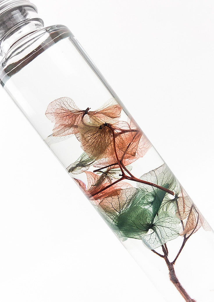 Hydrangea Preserved Bottle, Water Globe.