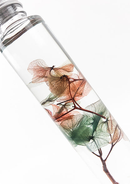 Hydrangea Preserved Bottle, Water Globe.